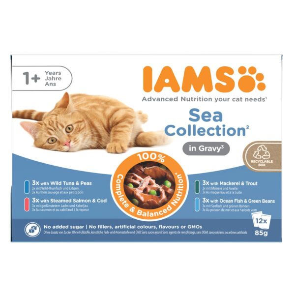 Iams Advanced Nutrition Gravy Kalalajitelma 12 x 85 g