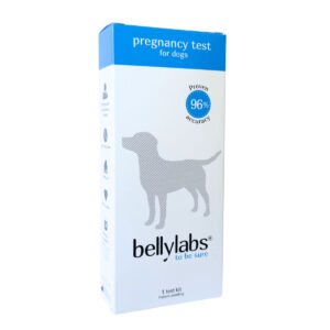 Bellylabs koirien tiineystesti