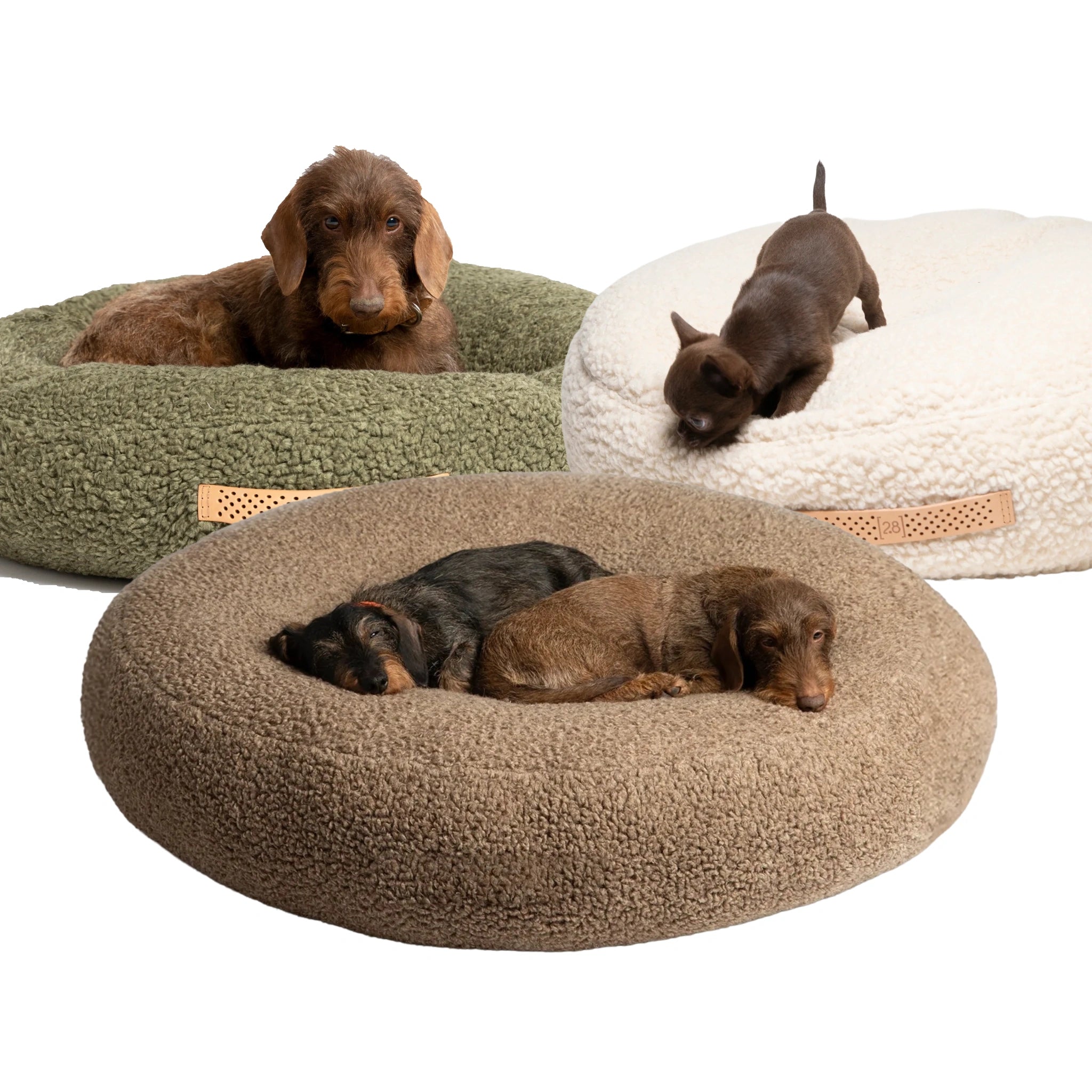 2.8 Fulvio - Bouclé Wool Koiranpeti, L / Kerma