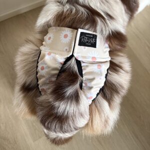RuttuNuttu juoksupöksyt kietaisumalli, daisies