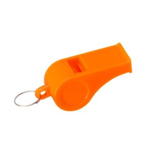 Basic Training -koirapilli