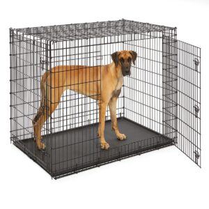 Koiranhäkki Midwest Solutions XXL
