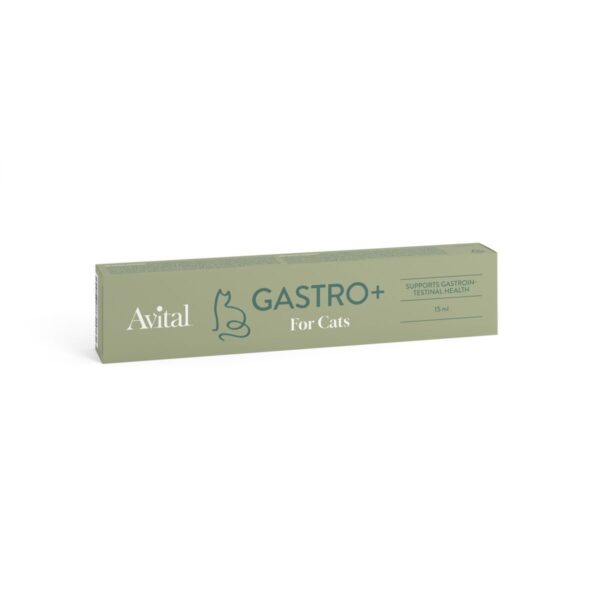 Avital Gastro+ kissalle