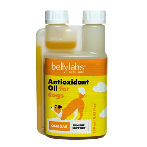 Bellylabs Antioxidanttiöljy 250 ml