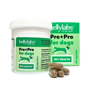 Bellylabs Pre+Pro 60 kapselia