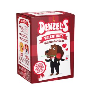 Denzel's Valentine's herkkuboksi koiralle 120g
