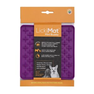 LickiMat Mini Buddy nuolumatto, turkoosi