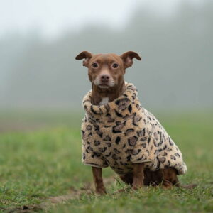 51 Degrees North Turtle Teddy, leopardi