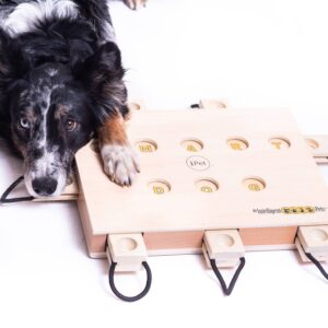 My Intelligent Dogs iPet - Älypeli Koirille