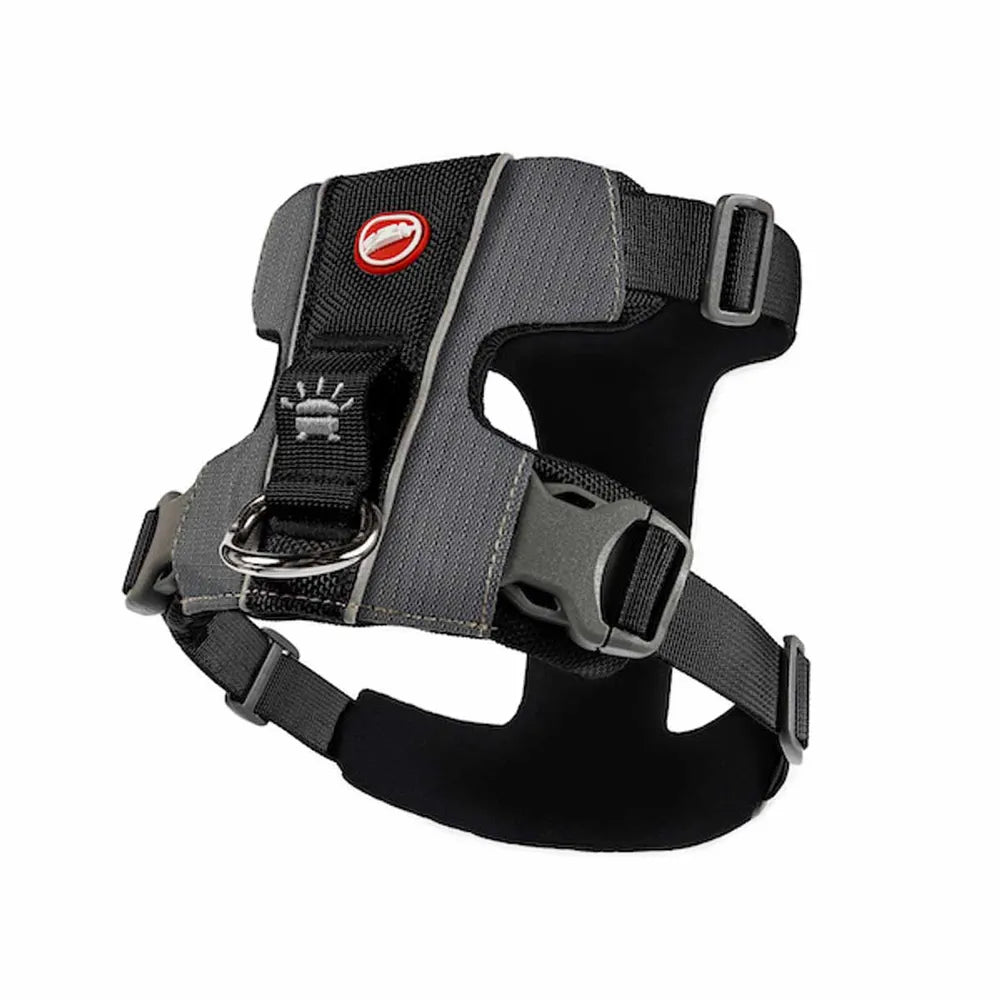 Ezydog Valjaat, X-Link - Eri kokoja, Musta / S (6-10kg)