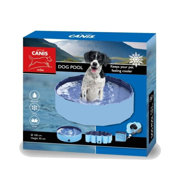 Koiralle allas Active Canis 100 x 30 cm