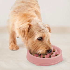 Ahmimisenestokuppi Outward Hound Wave pinkki, S
