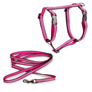Kissan valjassetti Basic Reflective