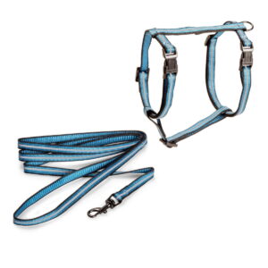 Kissan valjassetti Basic Reflective