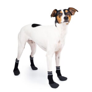 Koiran sukat Basic Paws 4 kpl mustat