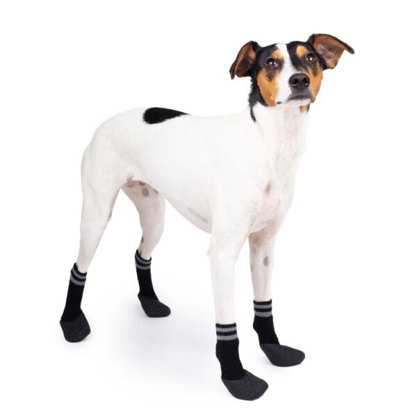 Koiran sukat Basic Paws 4 kpl mustat