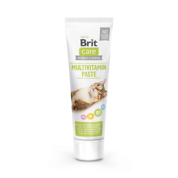Brit Care kissan Multivitamiinitahna 100g