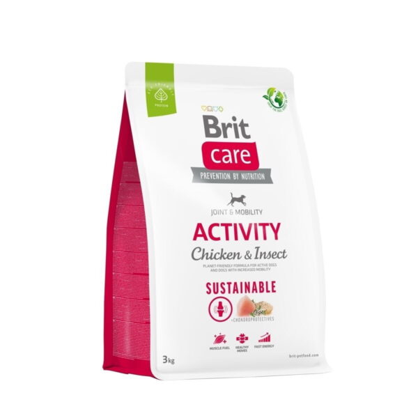 Brit Care Sustainable Activity
