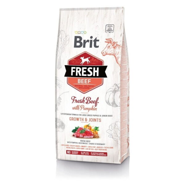 Brit Fresh Beef&Pumpkin PuppyLarge