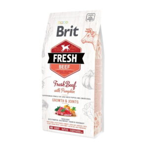 Brit Fresh Beef&Pumpkin PuppyLarge