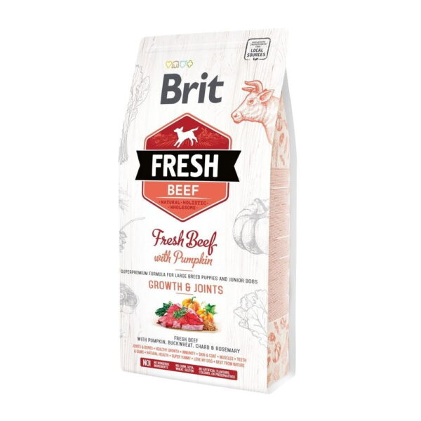 Brit Fresh Beef&Pumpkin PuppyLarge
