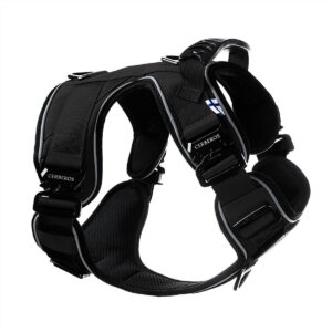 Cerberos Active koiran valjaat, Night Black