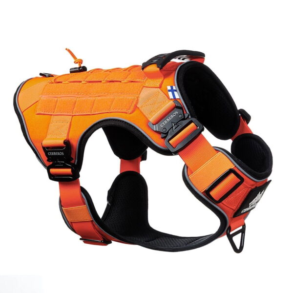 Cerberos Tactical valjaat koiralle, Rescue Orange
