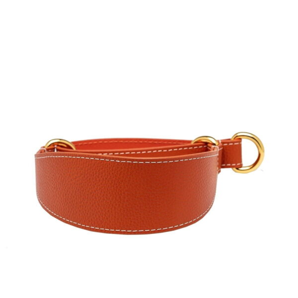 Koiran puolikiristävä panta Collar of Sweden, konjakki