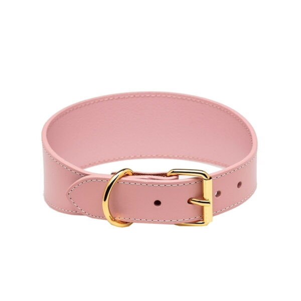 Collar of Sweden vinttikoirapanta, pinkki