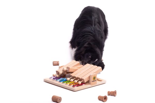 My Intelligent Dogs Piano – Älypeli koirille ja kissoille