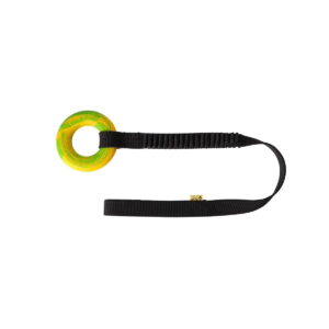 Dingo Bungee Vetolelu kumirenkaalla