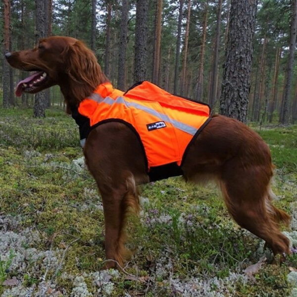 GPS-huomioliivi Inari, Kardog