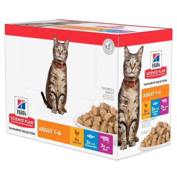 Hill's SP Feline Favourite Multipack 12 x 85 g