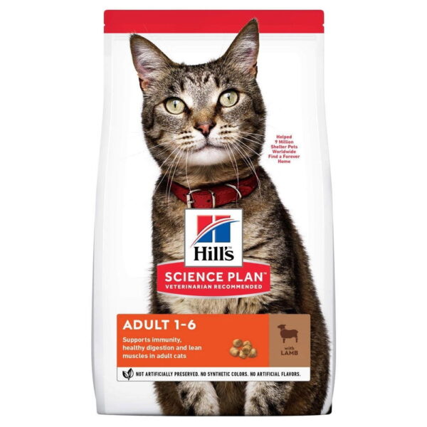 Hill's SP Feline Adult Lamb