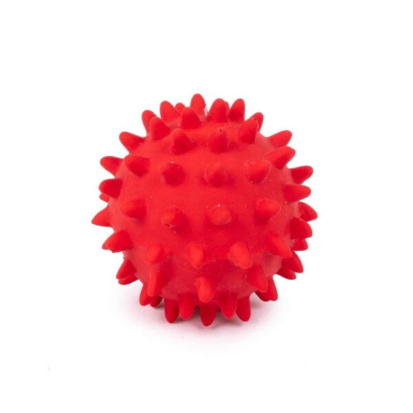 Siilipallo Itsy Bitsy 2 kpl 4 cm
