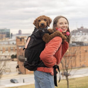 K9 Sport Sack Air 2 -koiran kantoreppu, musta