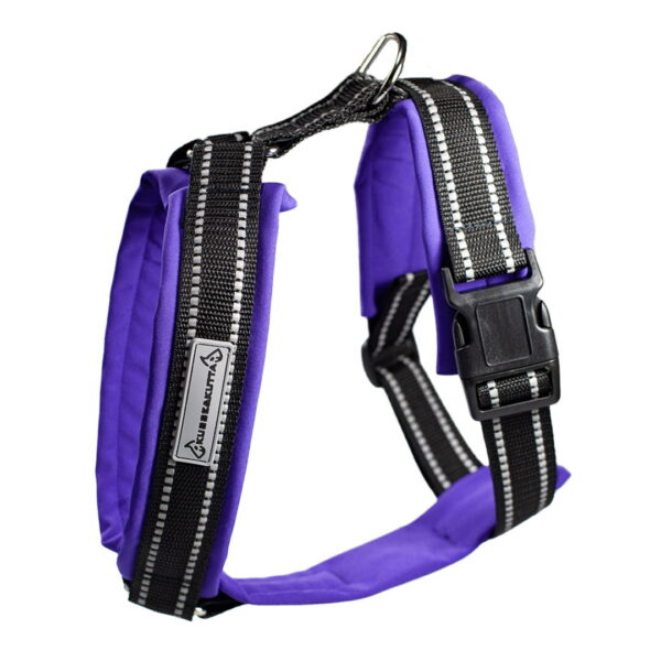 Kusse&Kutta-koiran valjaat softshell-pehmusteella, violetti