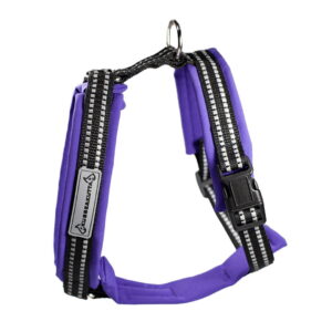 Kusse&Kutta-koiran valjaat softshell-pehmusteella, violetti