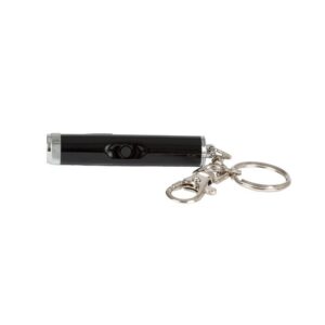 Laserlelu kissoille L&B Hologram