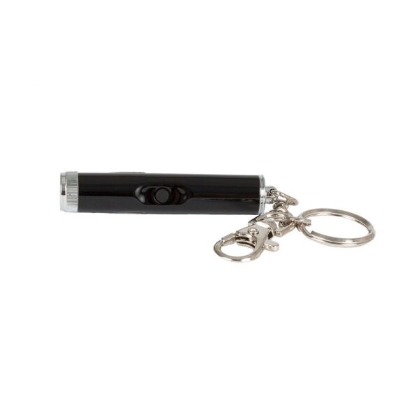 Laserlelu kissoille L&B Hologram