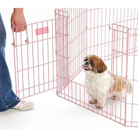 Pentuaitaus LifeStages Max Lock Pink