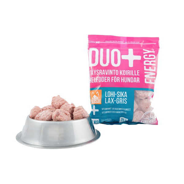 Mush DUO+ Energy lohi-sika