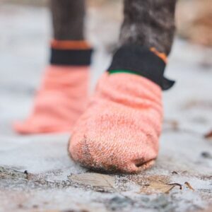 Non-Stop Protector Light koiran tossut, 4 kpl