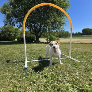 Hoopers Hoop PetEasy