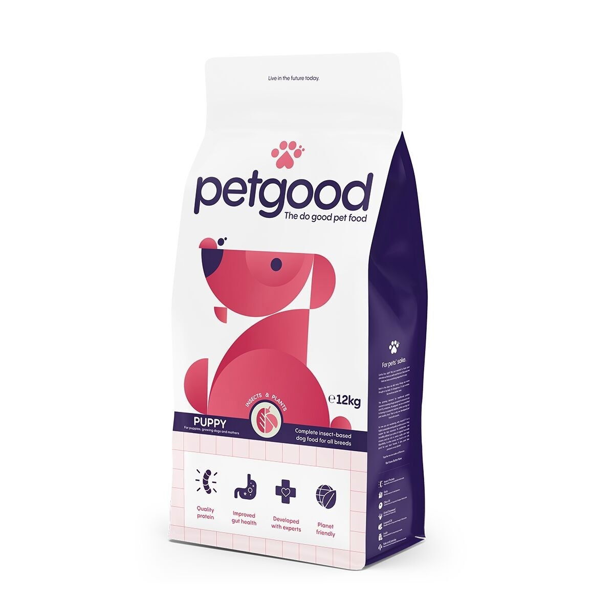 Petgood hyönteispohjainen premiumruoka pennulle