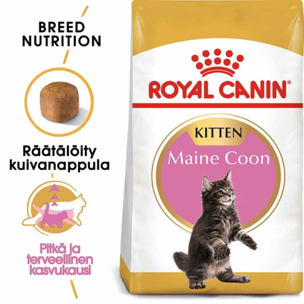 Royal Canin Maine Coon Kitten
