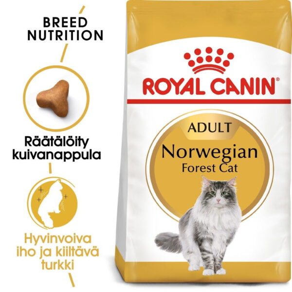 Royal Canin Norwegian Forest Cat