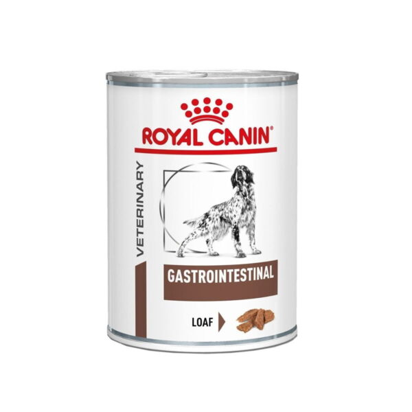 Royal Canin Gastro Intestinal märkäruoka 12x400g