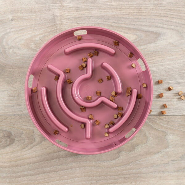 Trixie Cat Activity Rocking Maze