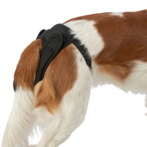 Trixie Comfort mesh juoksuhousut tarralla